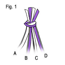 cobrastitch-fig1.jpg cobrastitch-fig1.jpg