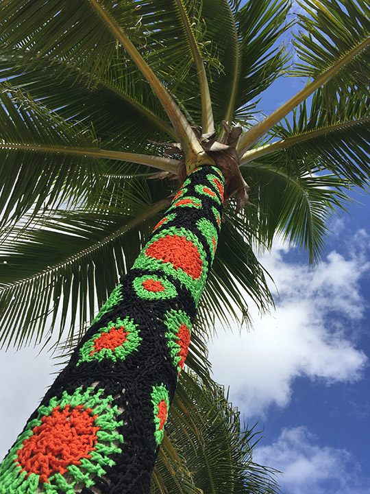 Yarn Bomb Palm Tree by Carol Hummel 2017